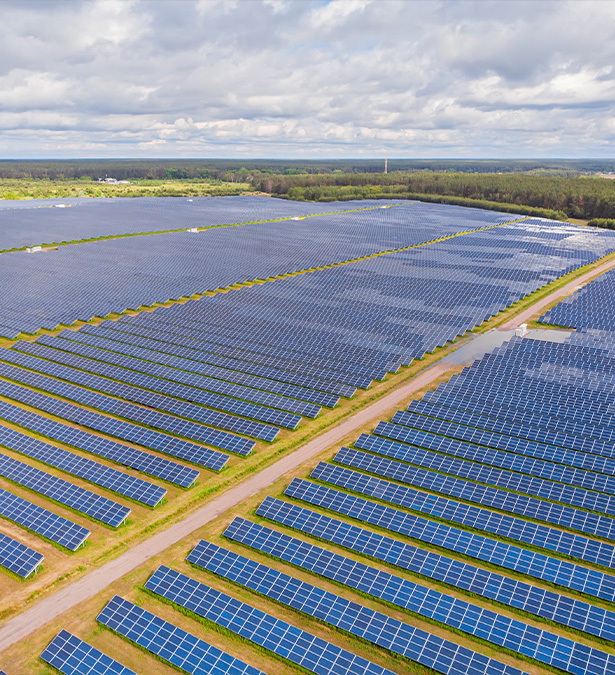 Serre fotovoltaiche-Serra delle Meraviglie, Efficienza energetica delle colture in serra